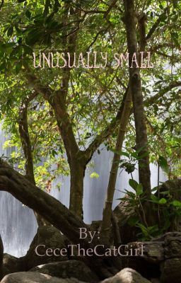 Unusually small icon