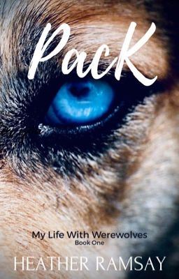Pack icon