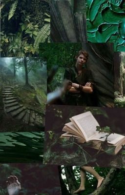 where darkness goes, light follows | PETER PAN ✔️ icon