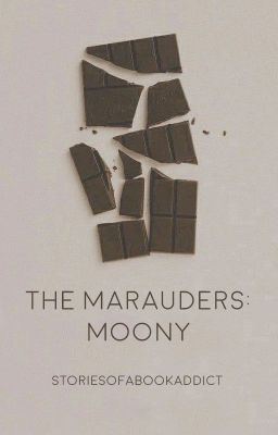 The Marauders: Moony icon