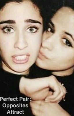 Perfect Pair: Opposites Attract icon