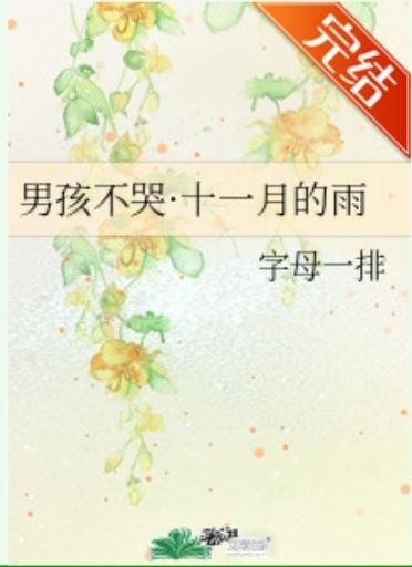 Boys Don’t Cry: November Rain icon