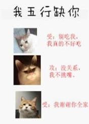 My Five Elements Lack You icon