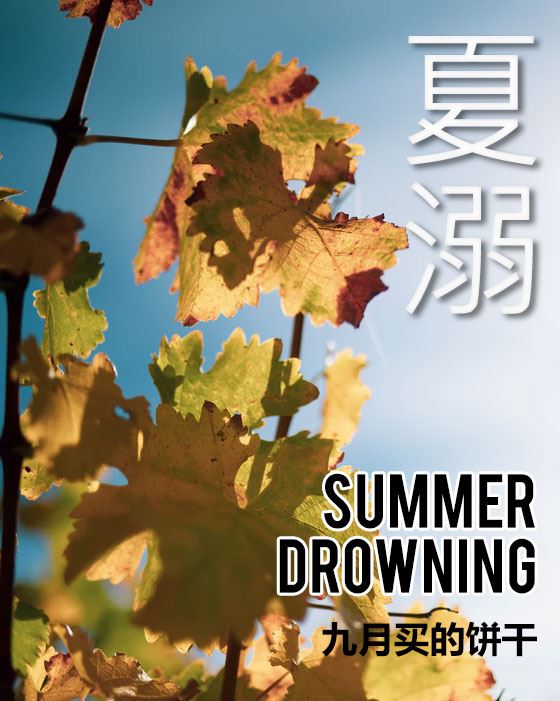 Summer Drowning icon