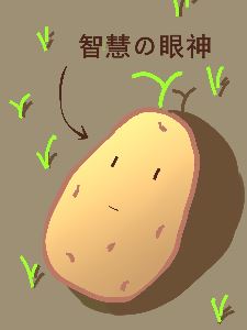 The Hero Turned Into A Potato And The World Fell To Ruin icon