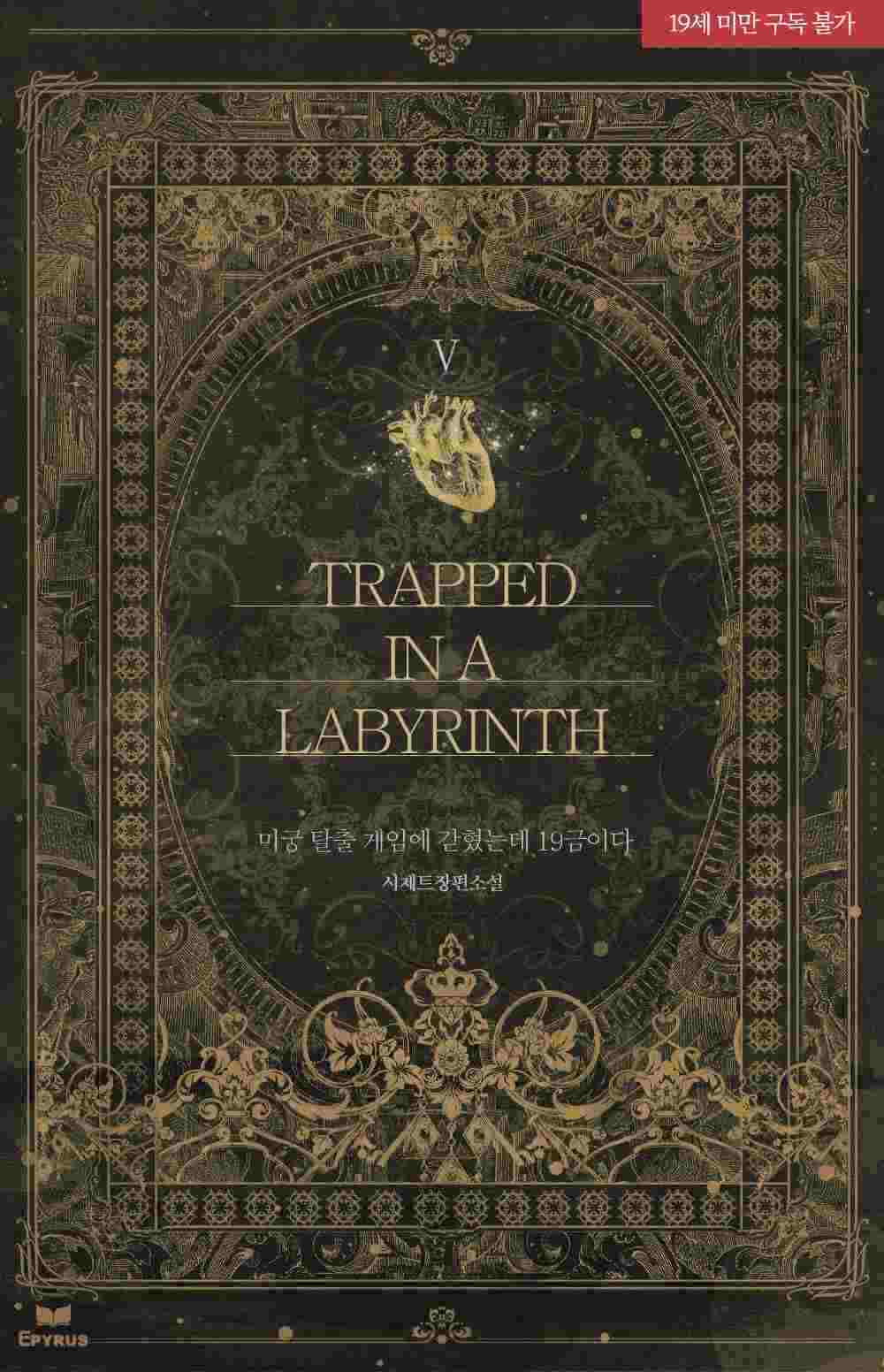 Trapped in a Labyrinth icon