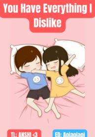 You Have Everything I Dislike icon