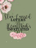 Star-Crossed Lovers: The Heartthrob's Infatuated CEO icon