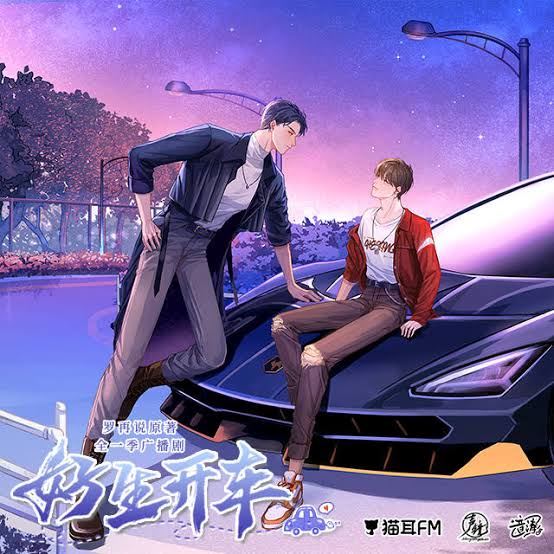 Drive Carefully icon