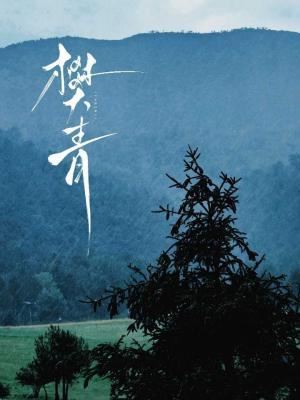 Fan Qing icon