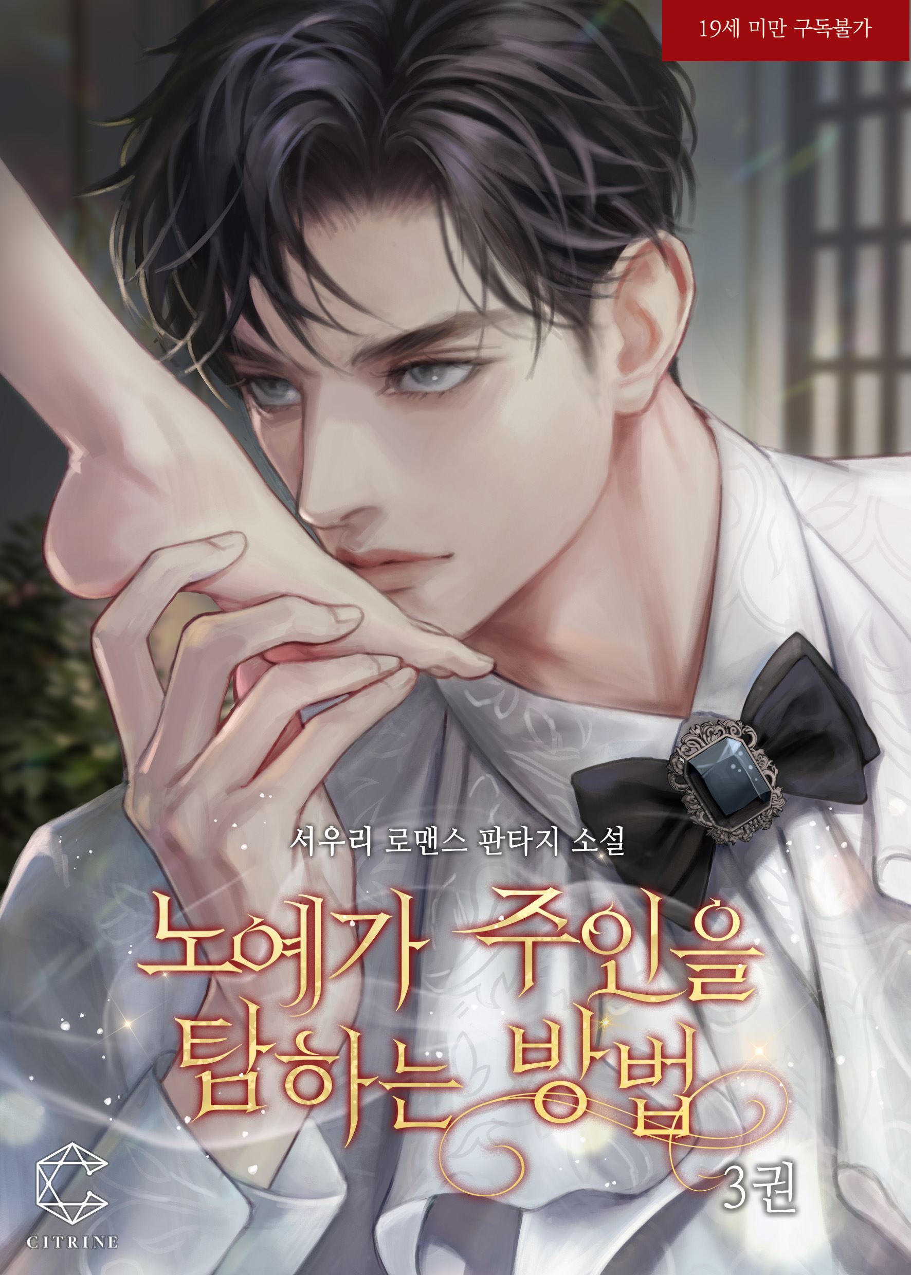 How a Slave Desires His Mistress icon