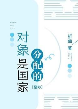 My Partner was Assigned to me by the Country icon