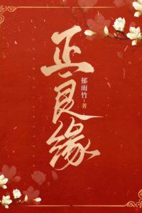 The Perfect Match icon