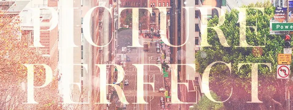 Picture Perfect icon