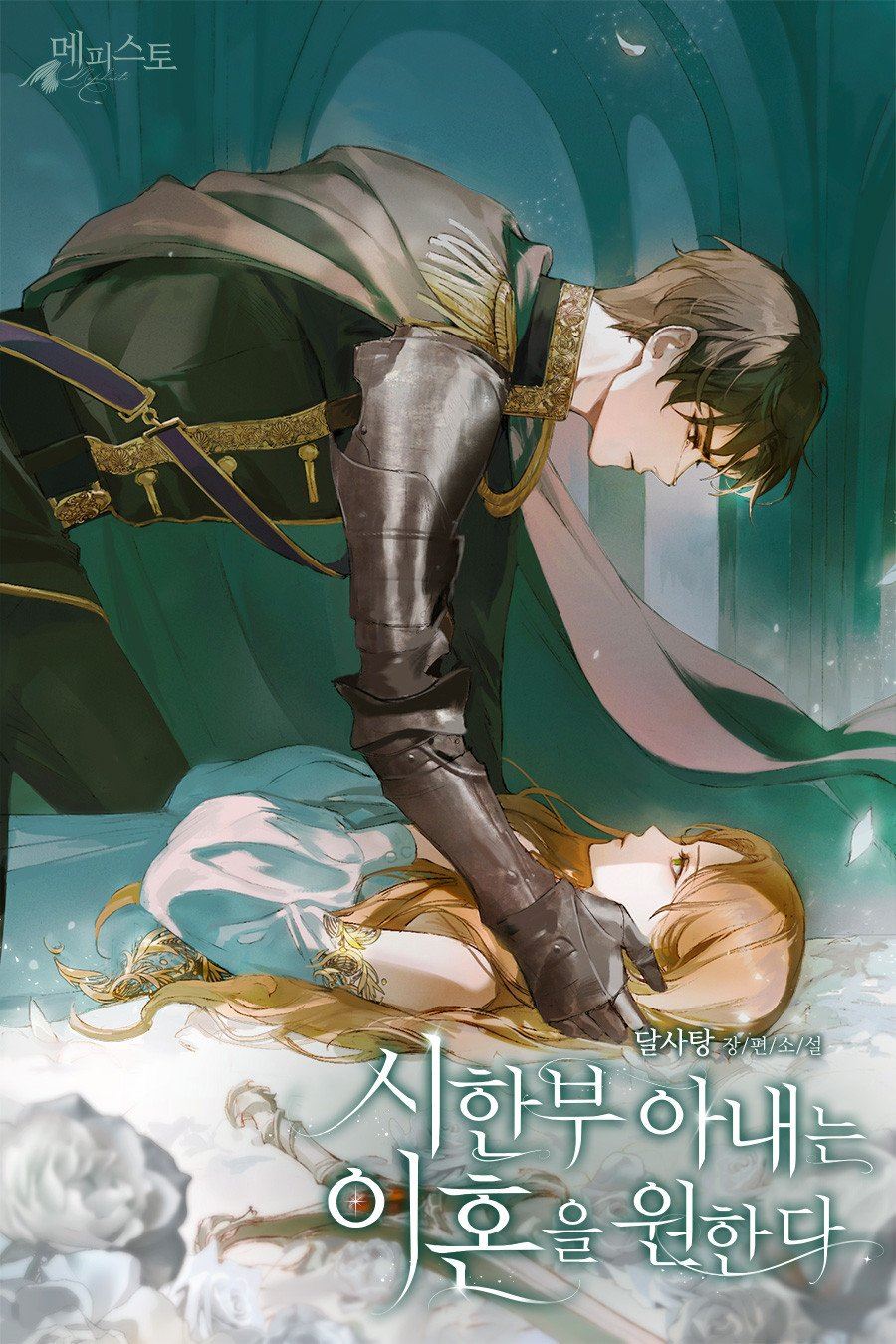 The Terminally Ill Wife Wants a Divorce icon