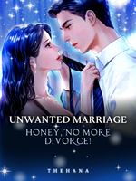 Unwanted Marriage: Honey, No More Divorce! icon