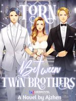 Torn Between Twin Brothers icon