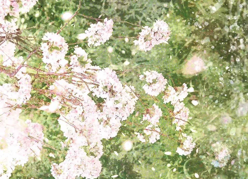 Wrong Pure Love icon