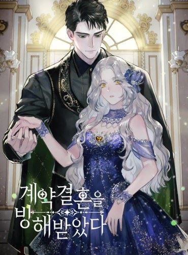 Contract Marriage Interrupted icon