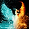 Sam_Reuel