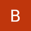 Braidennovel