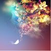 phoenix_8888