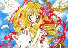 Amane Shiina (椎名 天音)