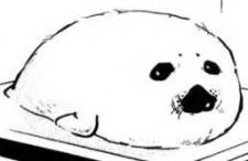 Ara-chan (アラちゃん)