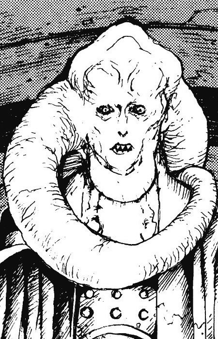 Bib Fortuna (ビブ・フォーチュナ)