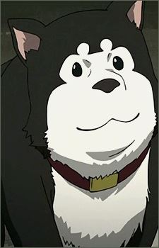 Black Hayate (ブラックハヤテ)