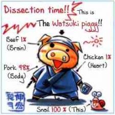 Buhiro Watsukino 