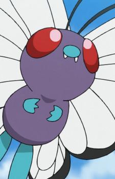 Butterfree (バタフリー)