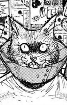 Catman 
