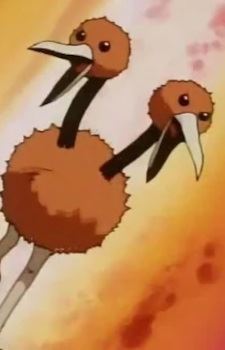 Doduo (ドードー)