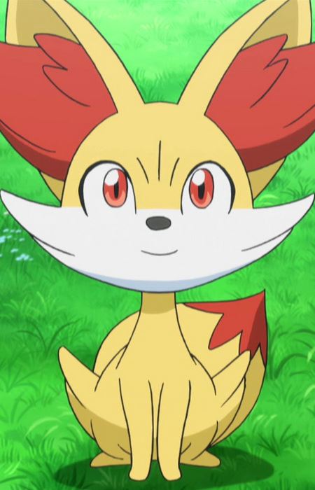 Fokko (フォッコ)