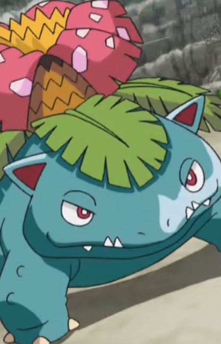 Fushigibana (フシギバナ)