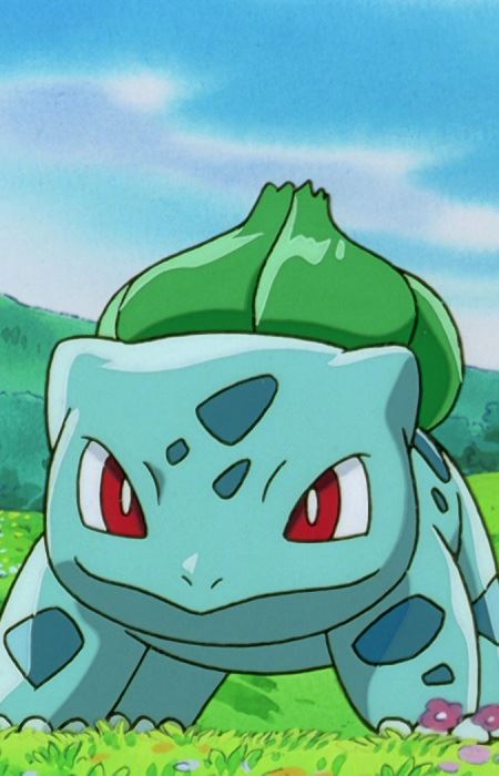 Fushigidane (フシギダネ)