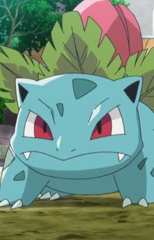 Fushigisou (フシギソウ)