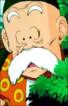 Gohan Son (孫 悟飯)