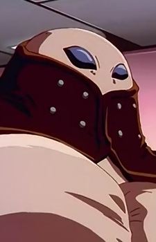 Gray the Nine Lives (グレイ・ザ・ナインライヴズ)