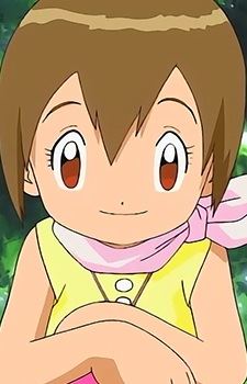 Hikari Yagami (八神 ヒカリ)