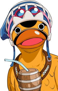 Karoo (カルー)