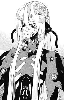 Kiku 