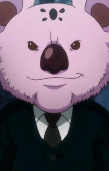 Koala (コアラ)