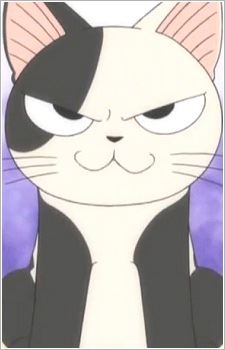 Kocchi (コッチ)