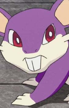 Koratta (コラッタ)