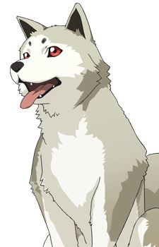 Koromaru (コロマル)