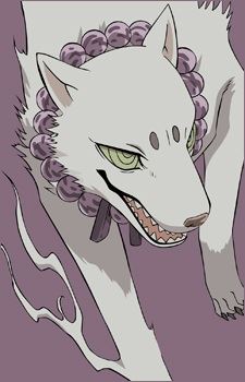 Madarao (マダラオ)