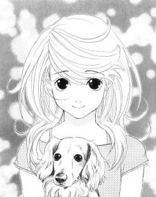 Maiko Ninomiya ( 舞妓さん二宮)