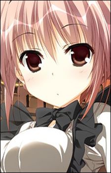 Makoto Toritani (鳥谷 真琴)